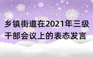 乡镇街道在2021年三级干部会议上的表态发言