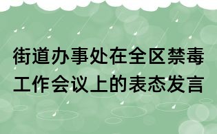 街道办事处在全区禁毒工作会议上的表态发言