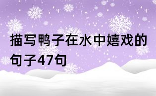 描写鸭子在水中嬉戏的句子47句