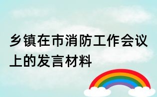 乡镇在市消防工作会议上的发言材料