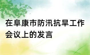 在阜康市防汛抗旱工作会议上的发言