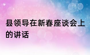 县领导在新春座谈会上的讲话