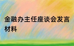 金融办主任座谈会发言材料