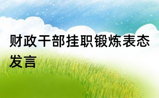 财政干部挂职锻炼表态发言