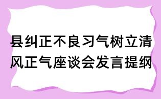 县纠正不良习气树立清风正气座谈会发言提纲