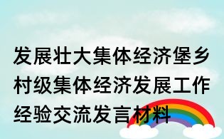 发展壮大集体经济堡乡村级集体经济发展工作经验交流发言材料