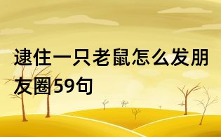 逮住一只老鼠怎么发朋友圈59句