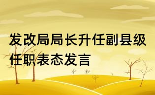 发改局局长升任副县级任职表态发言