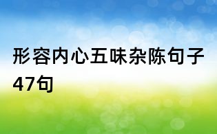 形容内心五味杂陈句子47句