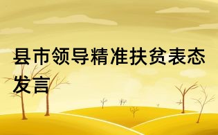 县市领导精准扶贫表态发言