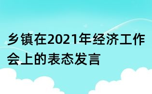 乡镇在2021年经济工作会上的表态发言
