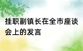 挂职副镇长在全市座谈会上的发言
