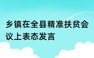 乡镇在全县精准扶贫会议上表态发言
