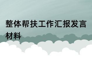 整体帮扶工作汇报发言材料