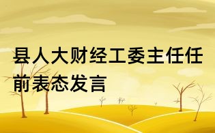 县人大财经工委主任任前表态发言