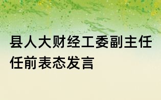 县人大财经工委副主任任前表态发言