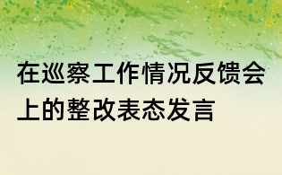 在巡察工作情况反馈会上的整改表态发言
