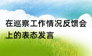 在巡察工作情况反馈会上的表态发言