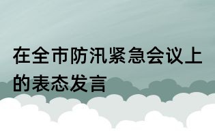 在全市防汛紧急会议上的表态发言