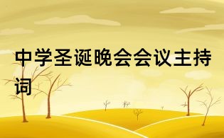 中学圣诞晚会会议主持词