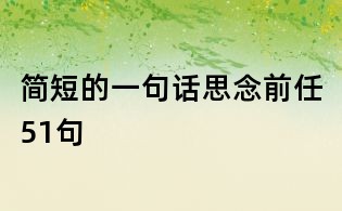 简短的一句话思念前任51句