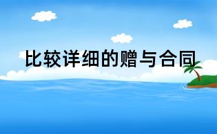比较详细的赠与合同