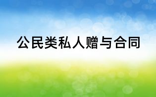 公民类私人赠与合同