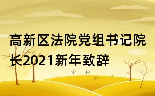 高新区法院党组书记院长2021新年致辞