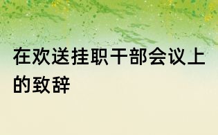 在欢送挂职干部会议上的致辞