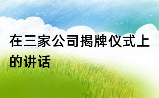 在三家公司揭牌仪式上的讲话
