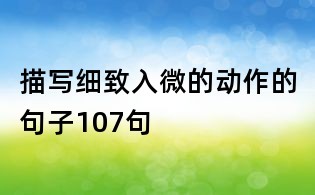 描写细致入微的动作的句子107句