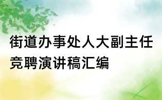 街道办事处人大副主任竞聘演讲稿汇编