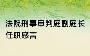 法院刑事审判庭副庭长任职感言