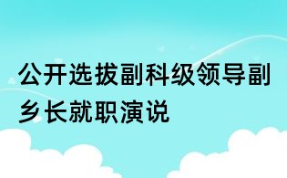 公开选拔副科级领导:副乡长就职演说