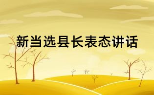 新当选县长表态讲话
