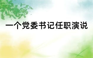 一个党委书记任职演说