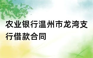 农业银行温州市龙湾支行借款合同