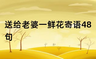 送给老婆一鲜花寄语48句