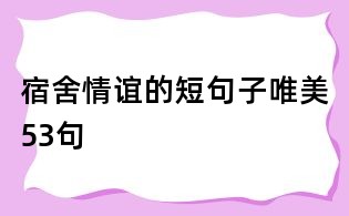 宿舍情谊的短句子唯美53句