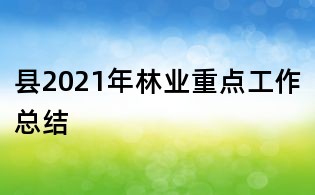 县2021年林业重点工作总结