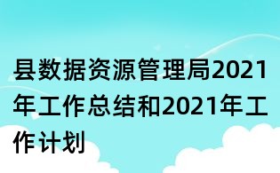 县数据资源管理局2021年工作总结和2021年工作计划