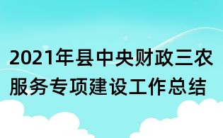 2021年县中央财政三农服务专项建设工作总结