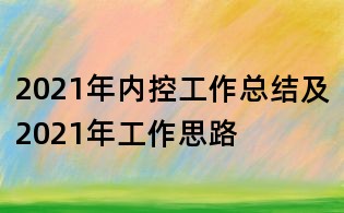 2021年内控工作总结及2021年工作思路