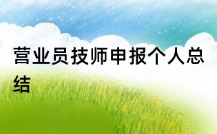 营业员技师申报个人总结