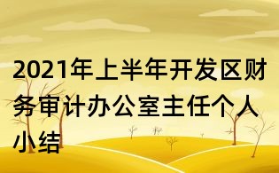 2021年上半年开发区财务审计办公室主任个人小结
