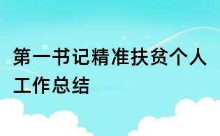 第一书记精准扶贫个人工作总结