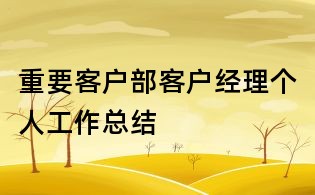 重要客户部客户经理个人工作总结