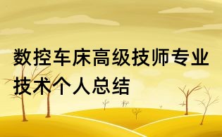 数控车床高级技师专业技术个人总结