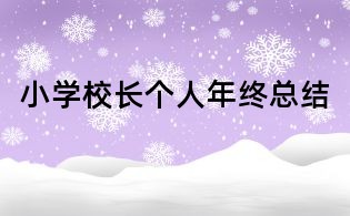 小学校长个人年终总结