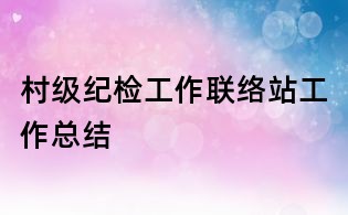 村级纪检工作联络站工作总结